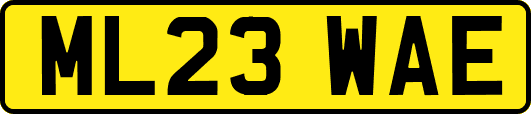 ML23WAE