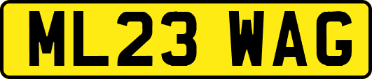 ML23WAG