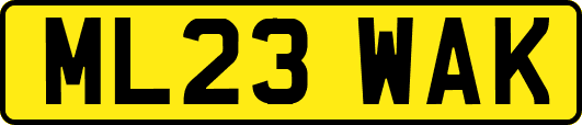 ML23WAK