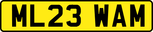 ML23WAM