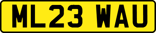 ML23WAU