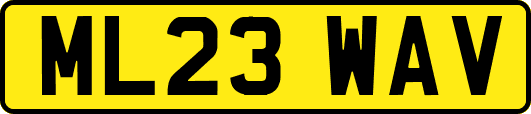 ML23WAV