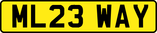 ML23WAY