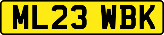 ML23WBK