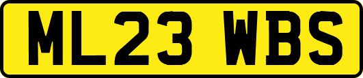 ML23WBS