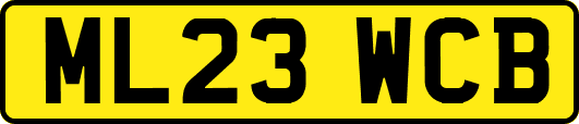 ML23WCB