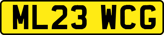 ML23WCG