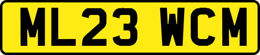 ML23WCM