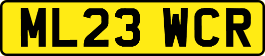 ML23WCR