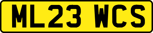 ML23WCS