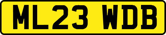 ML23WDB