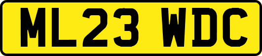 ML23WDC
