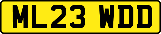 ML23WDD