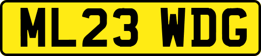 ML23WDG