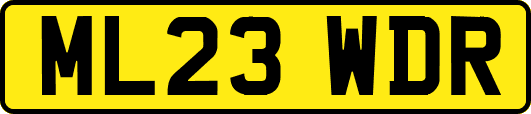 ML23WDR