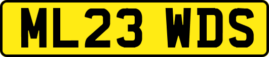 ML23WDS
