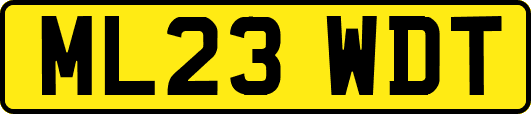 ML23WDT