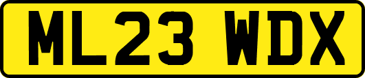 ML23WDX