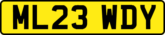 ML23WDY