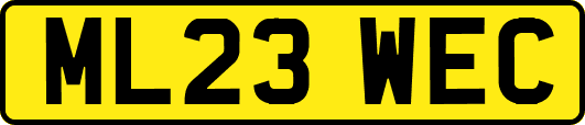 ML23WEC