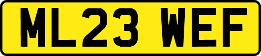 ML23WEF