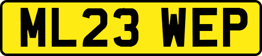 ML23WEP