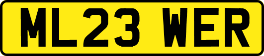 ML23WER