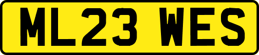 ML23WES