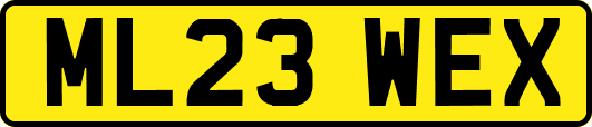 ML23WEX