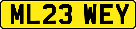 ML23WEY