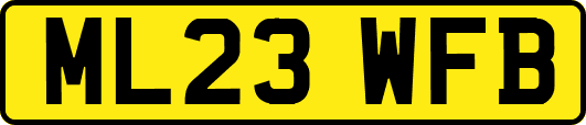 ML23WFB
