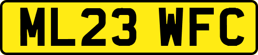 ML23WFC