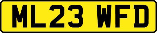 ML23WFD