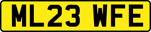ML23WFE