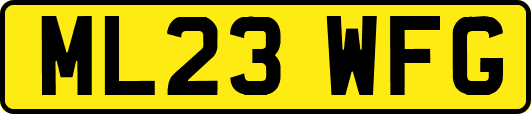 ML23WFG