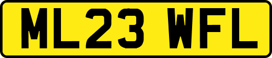 ML23WFL