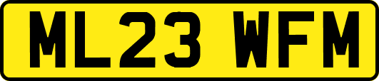 ML23WFM