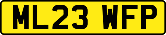 ML23WFP
