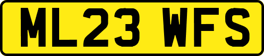 ML23WFS