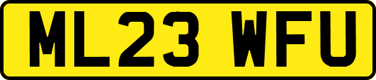 ML23WFU