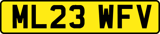 ML23WFV