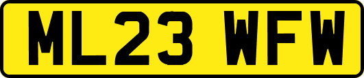 ML23WFW