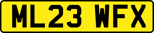 ML23WFX