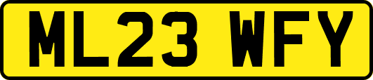 ML23WFY