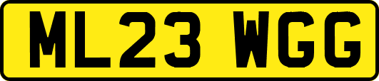 ML23WGG