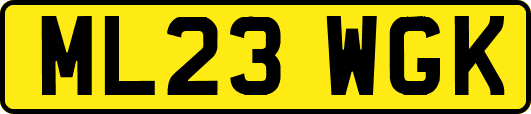 ML23WGK