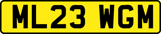 ML23WGM