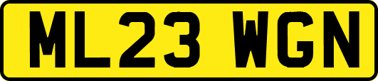 ML23WGN