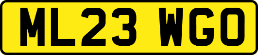 ML23WGO