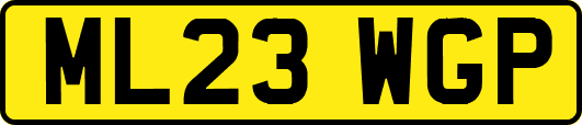 ML23WGP
